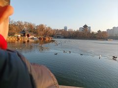 -迎泽公园