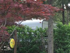 -崇明东平国家森林公园烧烤房车露营地