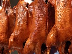 -春梅里卤鹅馆·47年老字号(中山路店)