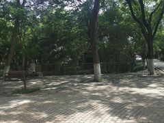 -渭滨公园
