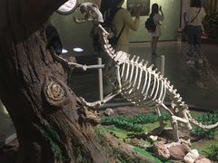 -玻璃桥景区石牛寨