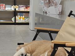 -伟伟宠物医院·CT影像中心·瑞派犬猫综合性门诊(汉口总院)