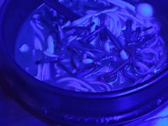 -花腰餐吧Bistro烧烤 傣味(传媒大学店)