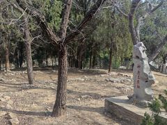 -四门塔风景区