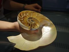 -青岛贝壳博物馆