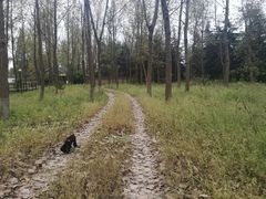 -呼吸森林·生态农庄农家乐私房菜