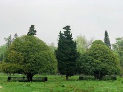 -贵州省植物园