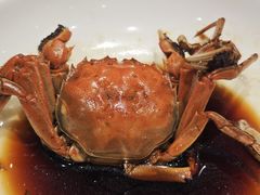 -阿毛饭店首店·宁波老字号(文化广场店)
