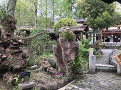 -青城甲(青城山店)