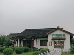 -莲花岛景区
