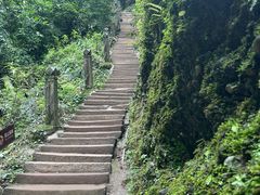 -青城山
