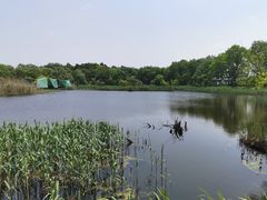-西湖风景区-江洋畈生态公园