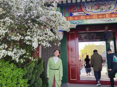 -天津妈祖文化园