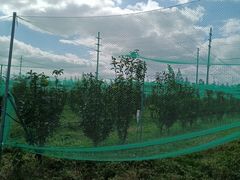 -前小桔亲子创意农场·草莓采摘·露营烧烤