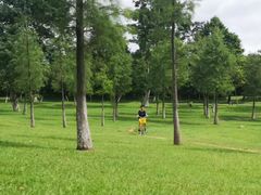 -松山湖南湖湾露营营地