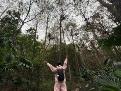 -铁山坪森林公园