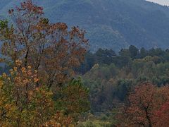 -塔川景区