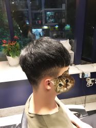 男士造型-比尔造型