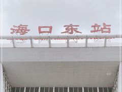 -海口东站