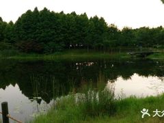 -美兰湖景区