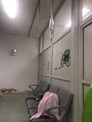 -成都市妇女儿童中心医院(中心院区)