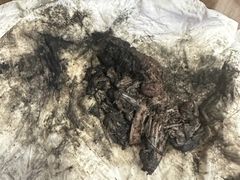 -御面斋精品面馆