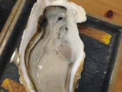 -海胆小馆(东北水饺·春柳店)