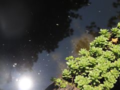 -炊烟餐厅