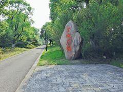 -苏州太湖国家湿地公园