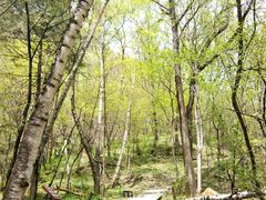 -叠溪松坪沟景区