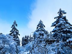 -瓦屋山景区