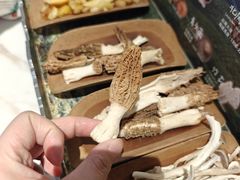 -芸山季·云南山珍菌火锅(南翔印象城MEGA店)