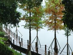 -重庆彩云湖湿地公园