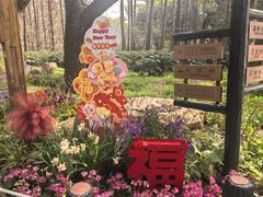 -共青国家森林公园-售票处