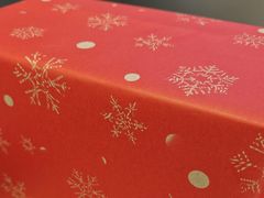 -DJI大疆(深圳华强北曼哈授权体验店)