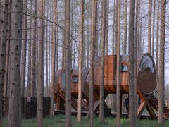 -黄海国家森林公园