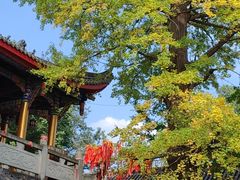 -金堂县云顶石城风景区