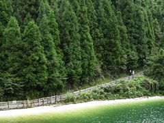 -武陵山森林公园