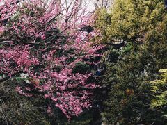 -郭庄景区