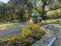 -北京西山国家森林公园