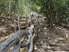 -梧桐山风景名胜区