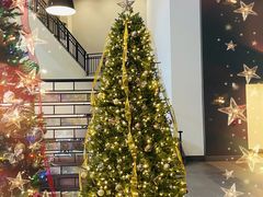 -奥黑尔国际机场