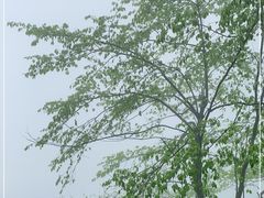 -萍乡武功山风景名胜区