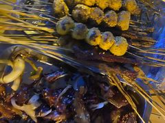 -勃利地摊·勃立小串烧烤