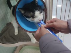 -嘉馨宠物医院·CT影像转诊·心脏科·犬猫全科诊疗中心(下沙大学城院区)