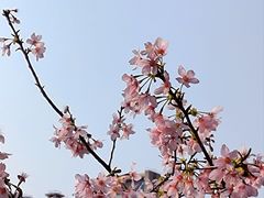 -乌山风景区
