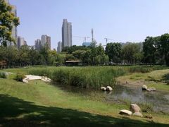 -后襄河公园