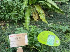 -广州神农草堂中医药博物馆