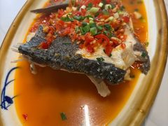 -全乐鱼馆·淳牌有机鱼直营店