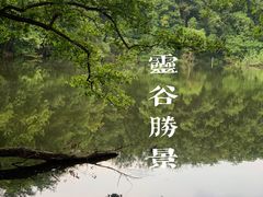 -灵谷景区